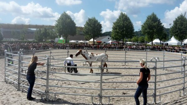 Timo Ameruoso Coaching Gruppe Event2